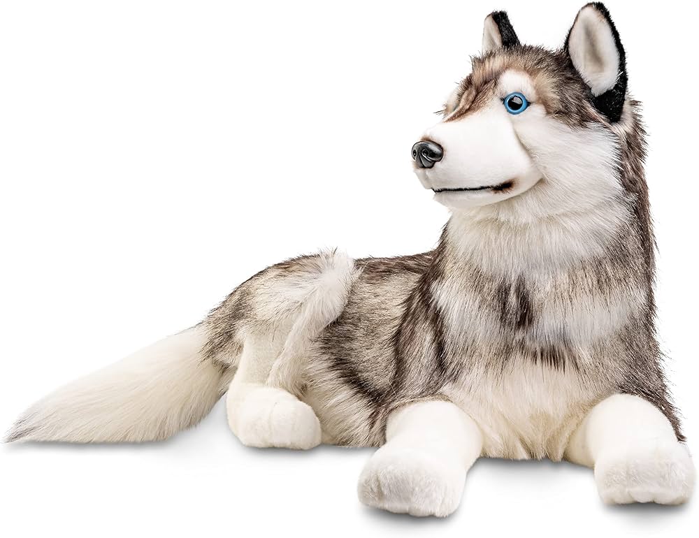 Xola jiyaniga josuslik qilayotgani porno video Hamma porno